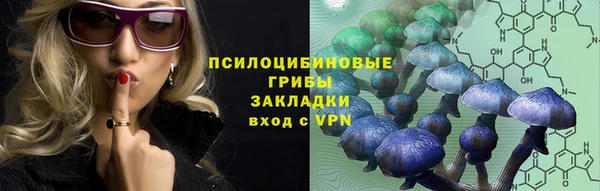 МДПВ Аркадак